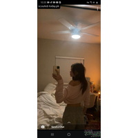 julia (4)-qmWXAymg.jpg